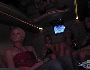 042209_naked_on_spring_break_long_limo_ride_with_hot_sorority_exhibitionist_girls